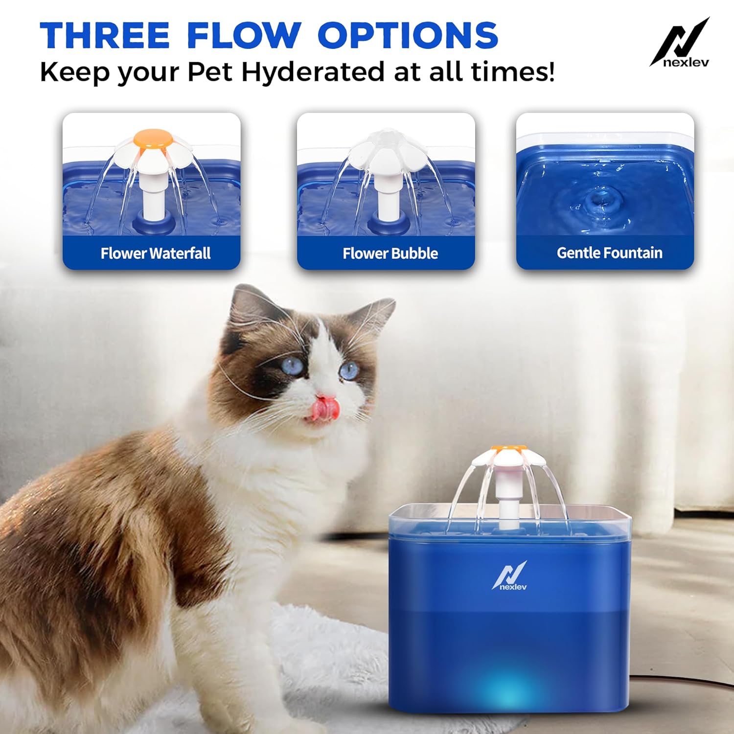 Nexlev Water Fountain | WF-02-BL