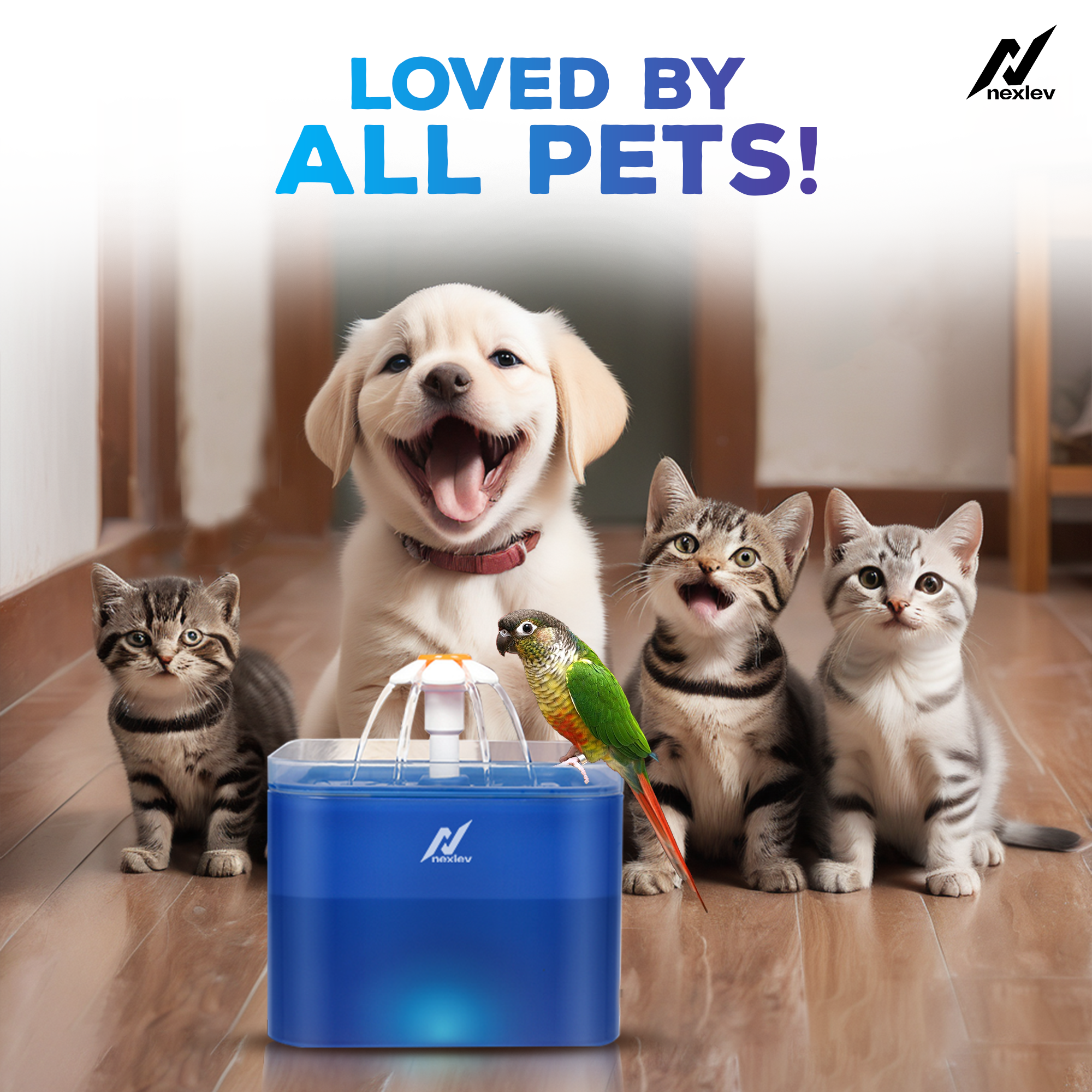 Nexlev Water Fountain | WF-02-BL