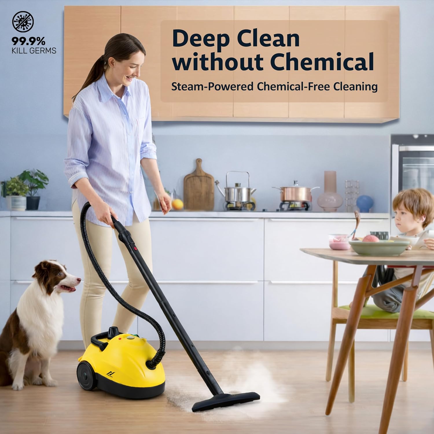 SWIPE Steam Cleaner | SC-03